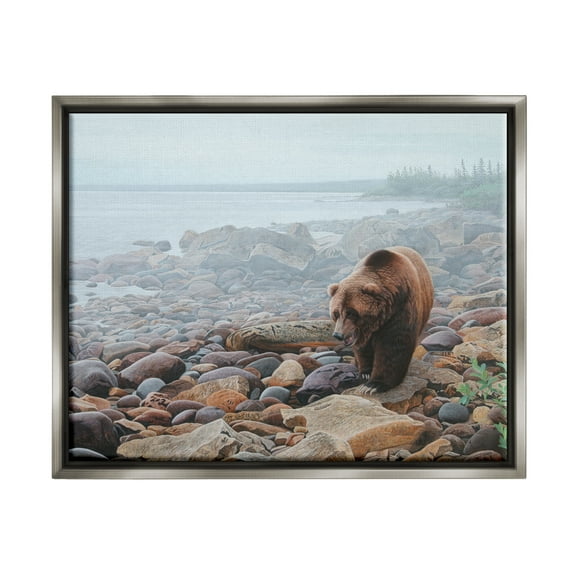 Stupell Industries Bear on Rocky Shore Nature Photography Gray Floater Framed Art Print Wall Art, 21 x 17