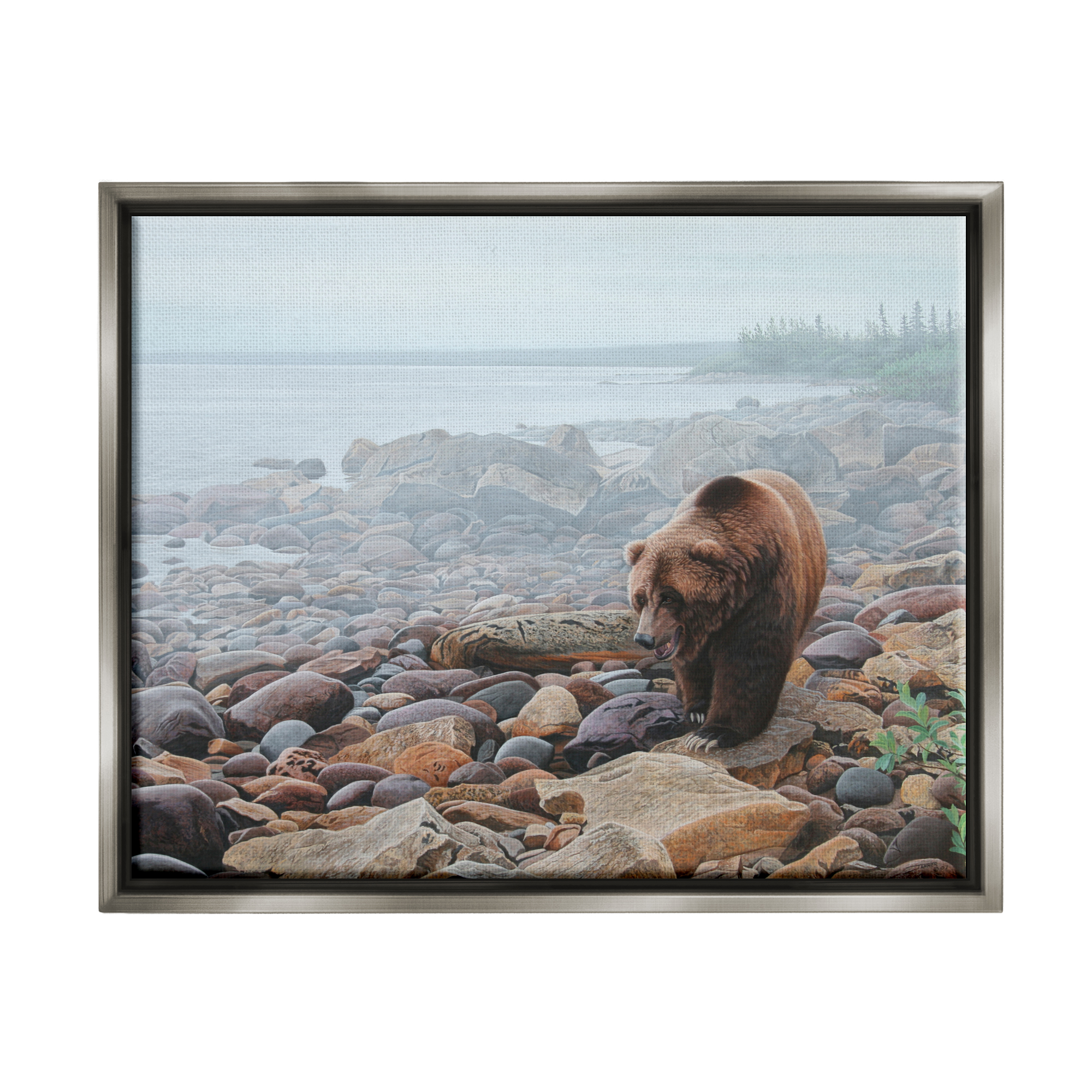 Stupell Industries Bear on Rocky Shore Nature Photography Gray Floater Framed Art Print Wall Art, 31 x 25