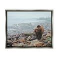 thumbnail image 1 of Stupell Industries Bear on Rocky Shore Nature Photography Gray Floater Framed Art Print Wall Art, 31 x 25, 1 of 9