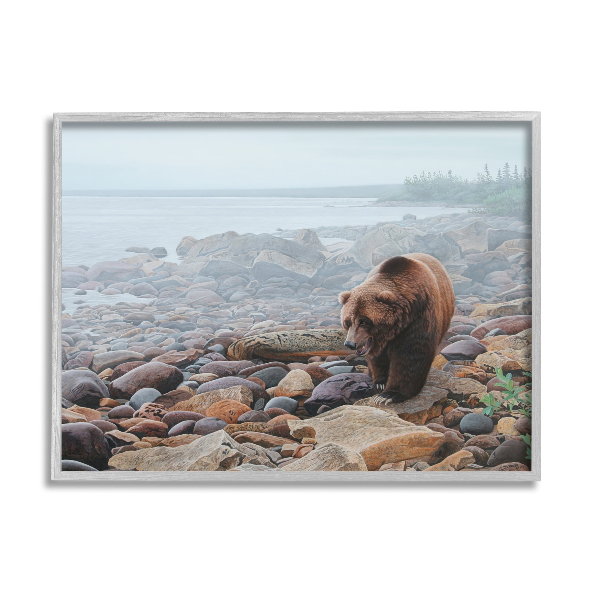 Stupell Industries Bear on Rocky Shore Nature Photography Gray Framed Art Print Wall Art, 20 x 16