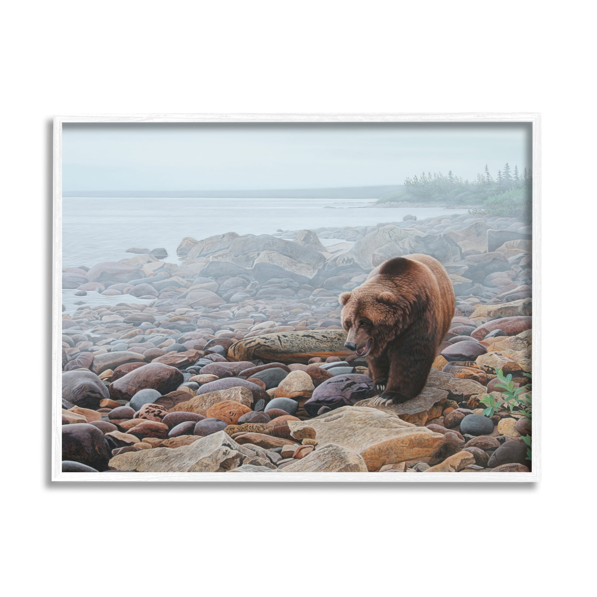 Stupell Industries Bear on Rocky Shore Nature Photography White Framed Art Print Wall Art, 20 x 16