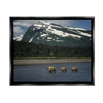 Stupell Industries Bears Crossing Icy River Landscape Photography Black Floater Framed Canvas Art Print Wall Art, 21 x 17