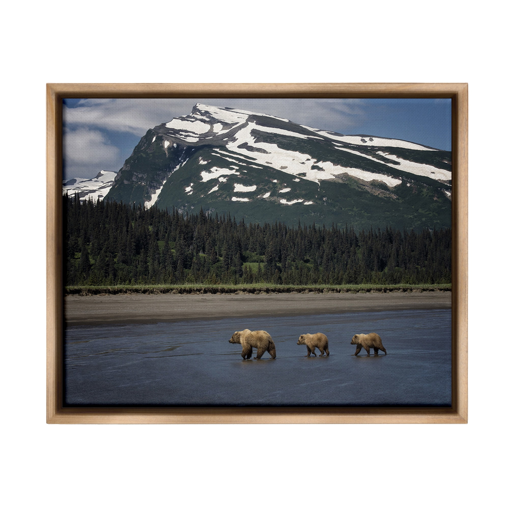 Stupell Industries Bears Crossing Icy River Landscape Photography Brown Floater Framed Canvas Art Print Wall Art, 31 x 25