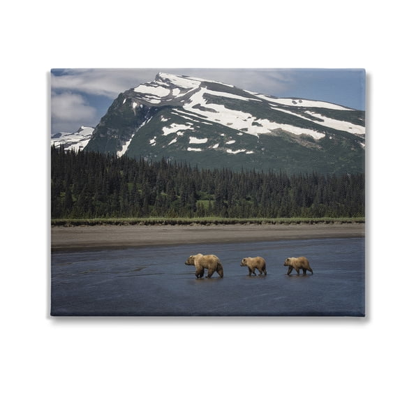 Stupell Industries Bears Crossing Icy River Landscape Photography Gallery Wrapped Canvas Art Print Wall Art, 20 x 16