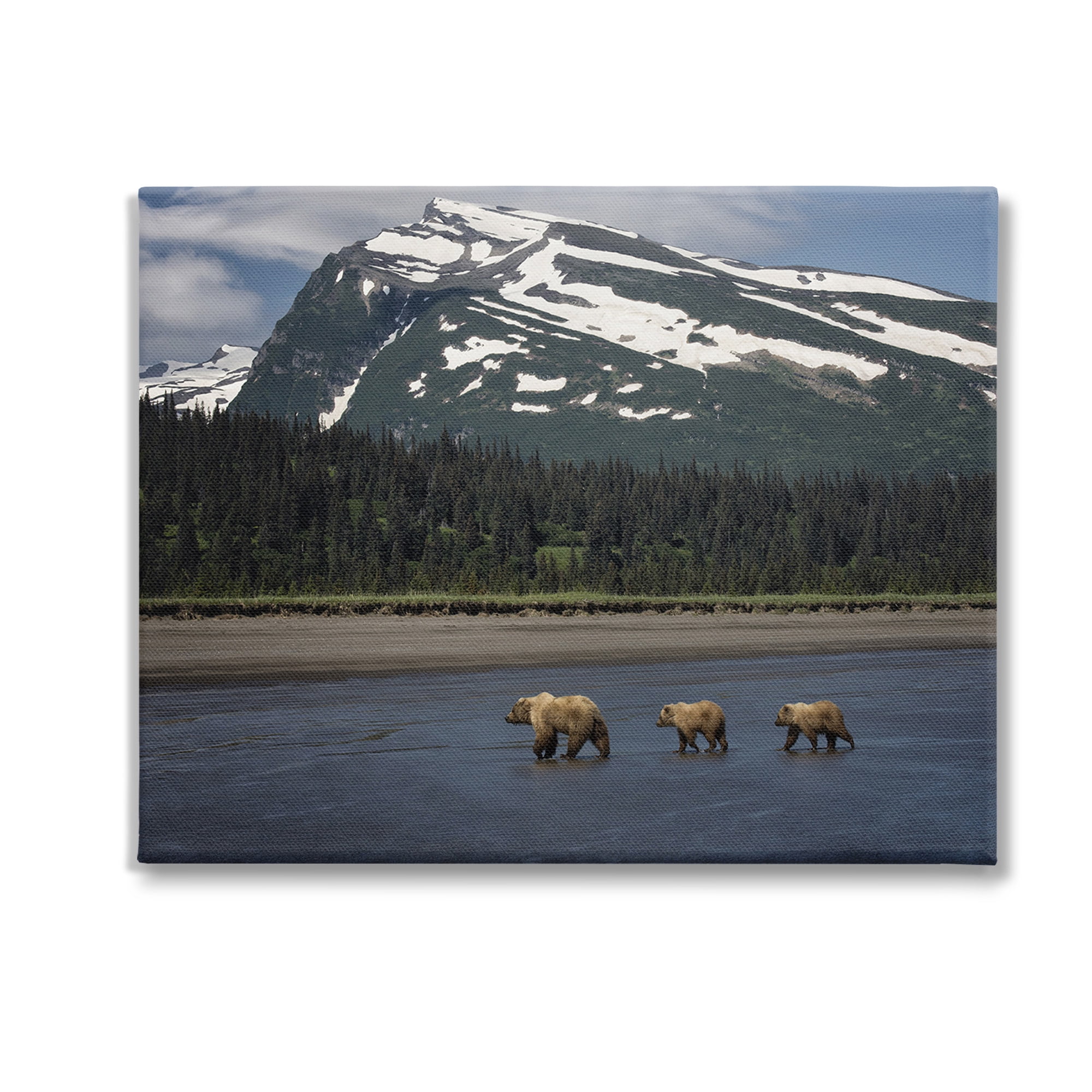 Stupell Industries Bears Crossing Icy River Landscape Photography Gallery Wrapped Canvas Art Print Wall Art, 30 x 24