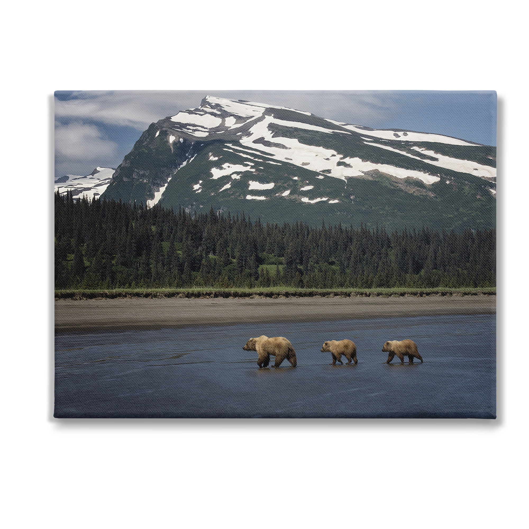 Stupell Industries Bears Crossing Icy River Landscape Photography Gallery Wrapped Canvas Art Print Wall Art, 40 x 30
