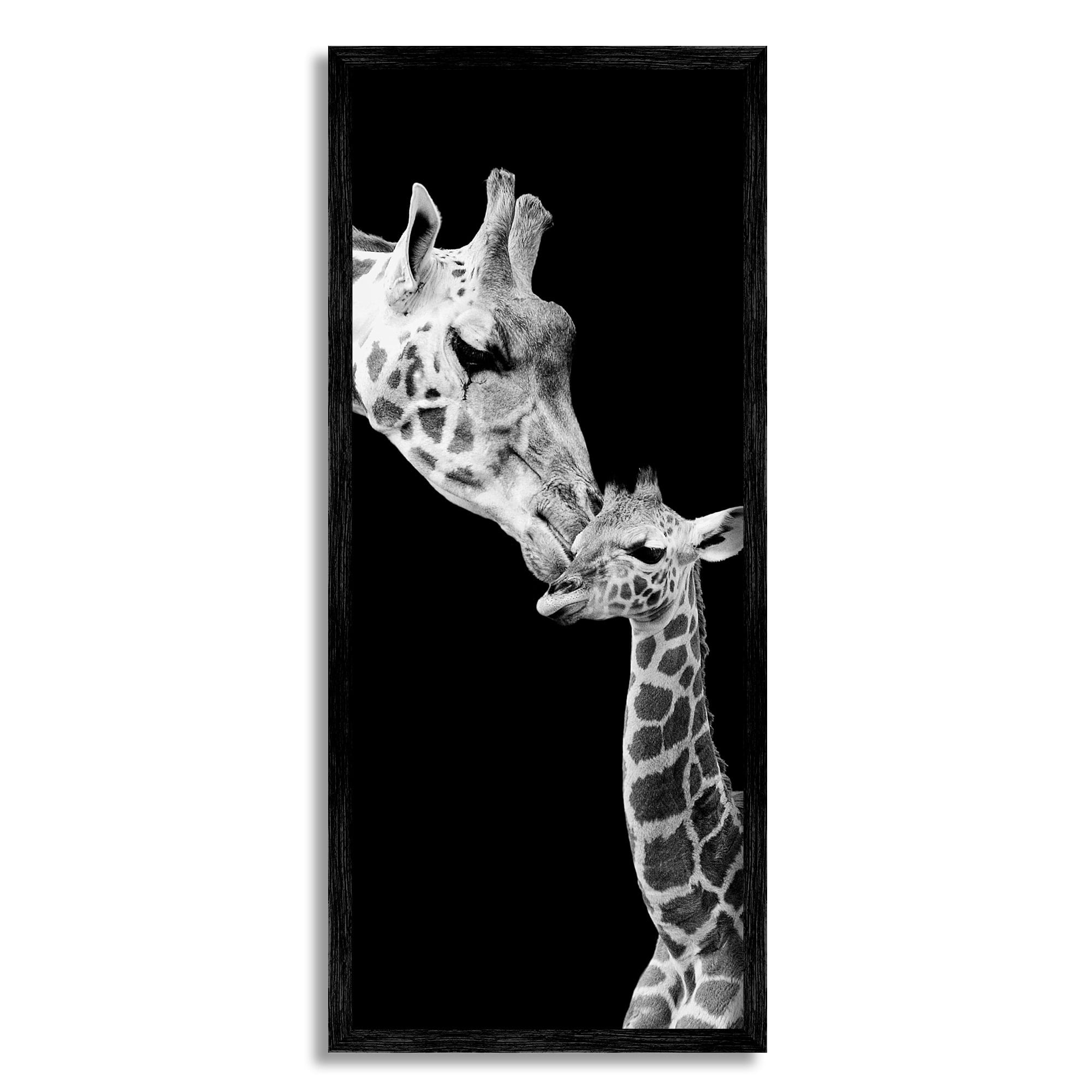 Stupell Industries Beautiful Baby Giraffe Loving Mother Monochrome Portrait Photography Black Framed Art Print Wall Art, 13x30, by Incado