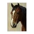 thumbnail image 1 of Stupell Industries Rustic Lodge Beautiful Brown Horse Portrait Canvas Art, 20 x 30, by Petals Prints Design, 1 of 8