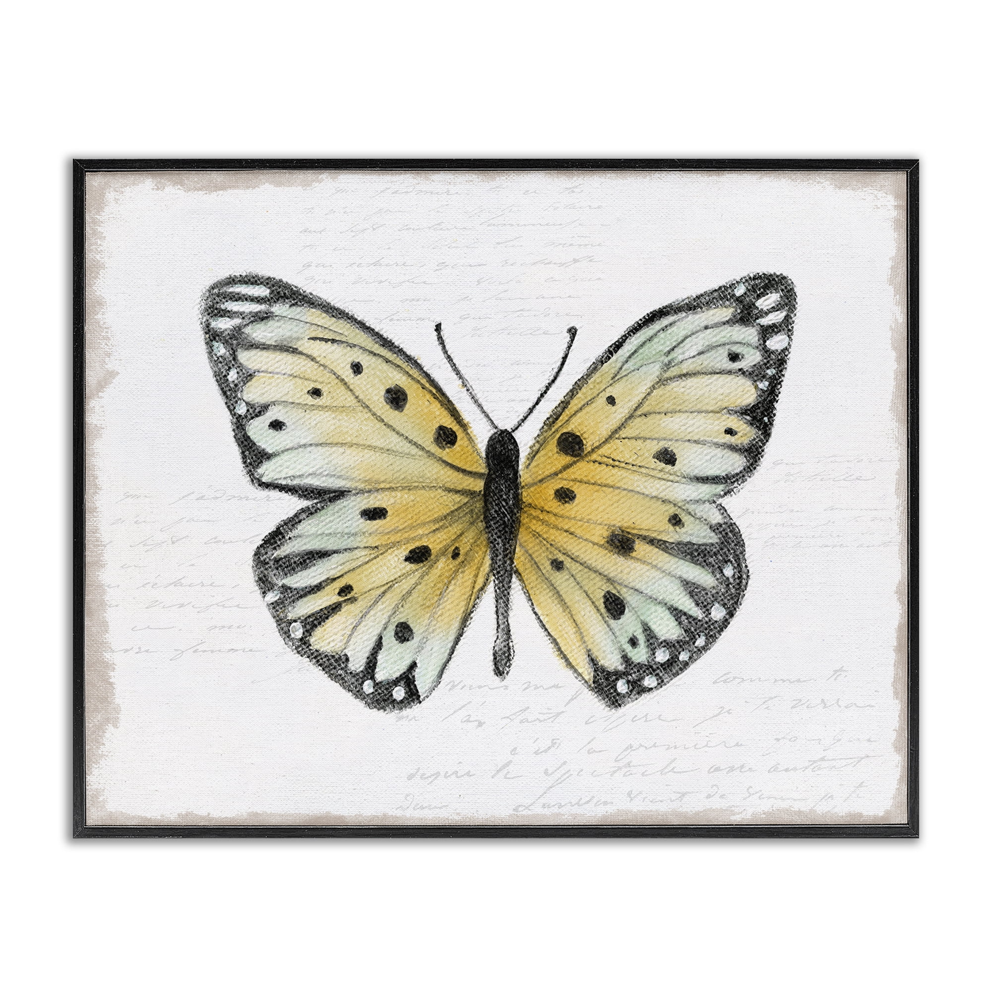 Stupell Industries Beautiful Butterfly on White Animals Painting Black Framed Art Print Wall Art, 30 x 24