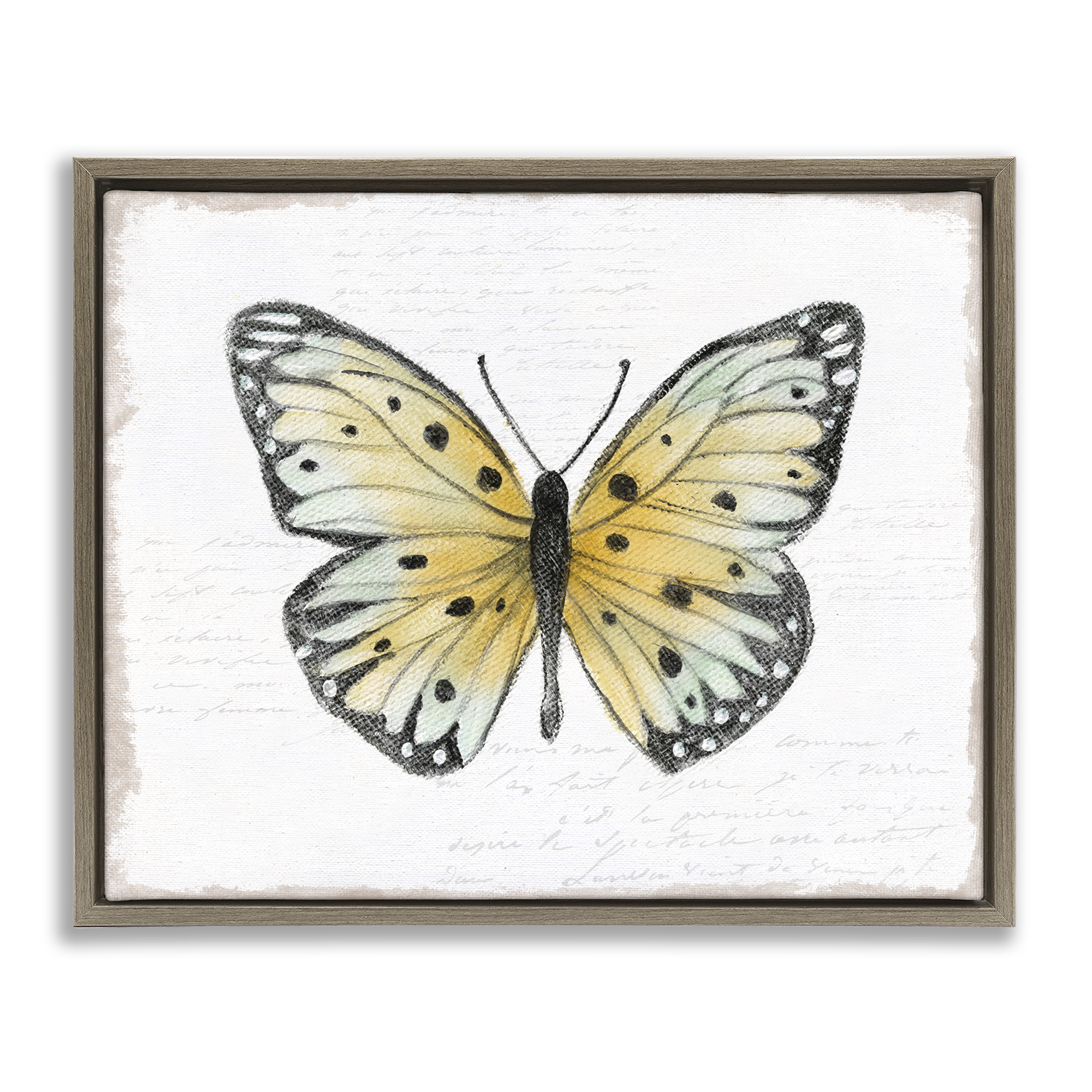 Stupell Industries Beautiful Butterfly on White Animals Painting Brown Floater Framed Canvas Art Print Wall Art, 21 x 17
