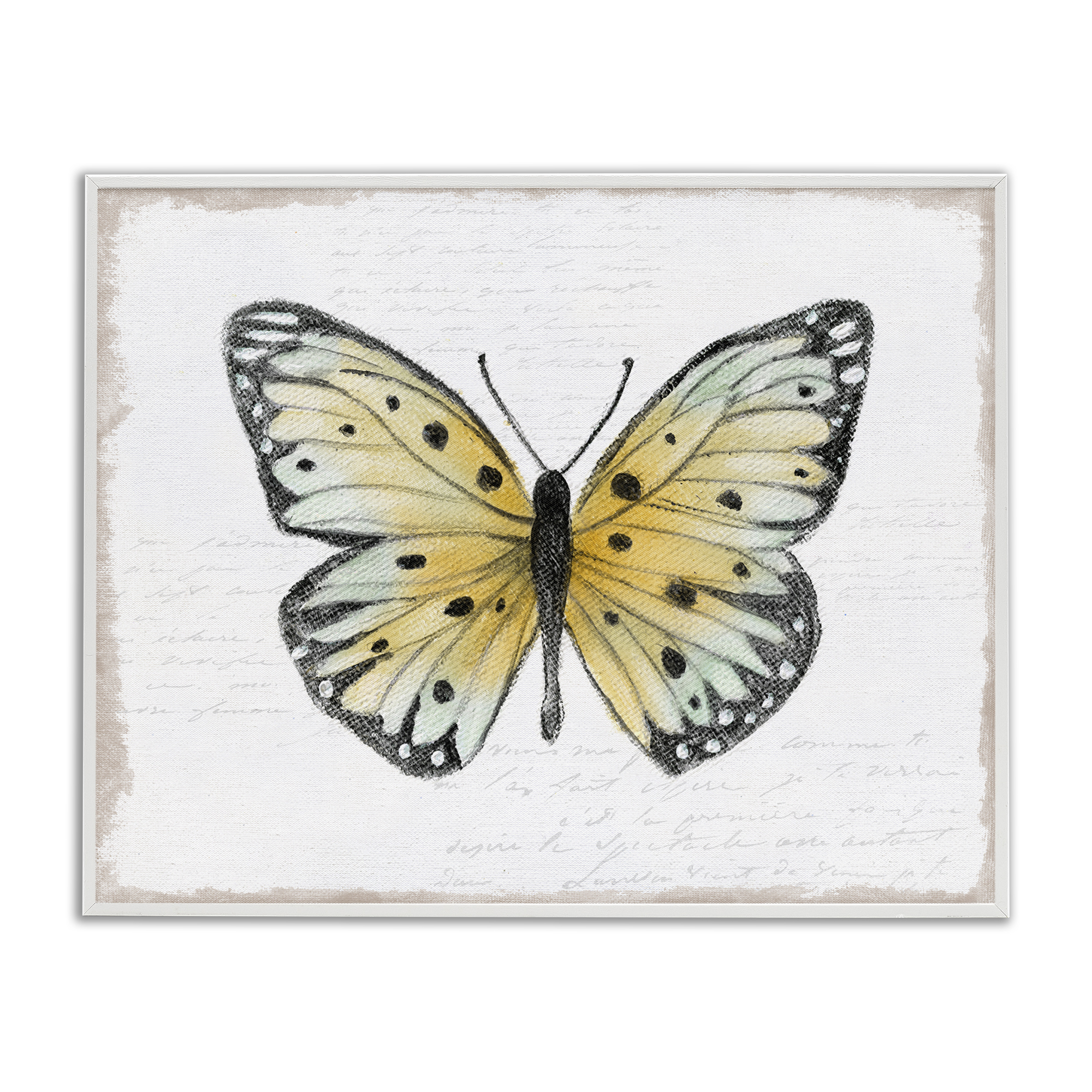 Stupell Industries Beautiful Butterfly on White Animals Painting White Framed Art Print Wall Art, 30 x 24