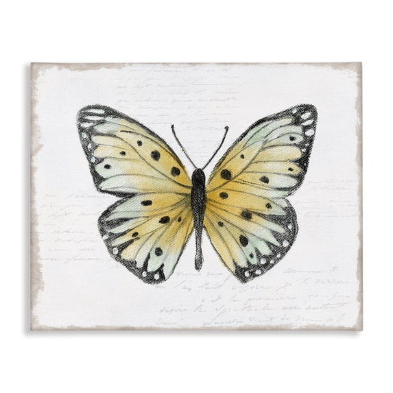Stupell Industries Beautiful Butterfly on White Animals Painting Wrapped Canvas Art Print Wall Art, 20 x 16