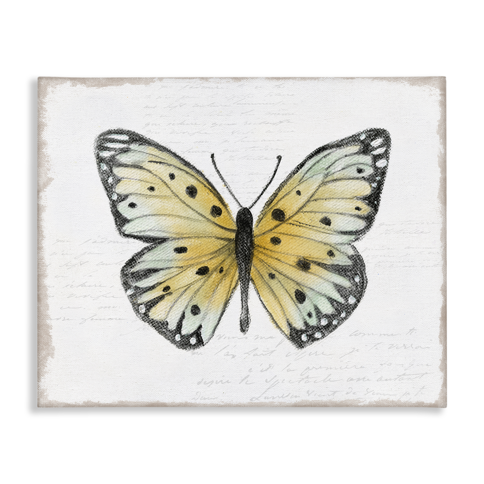 Stupell Industries Beautiful Butterfly on White Animals Painting Wrapped Canvas Art Print Wall Art, 48 x 36