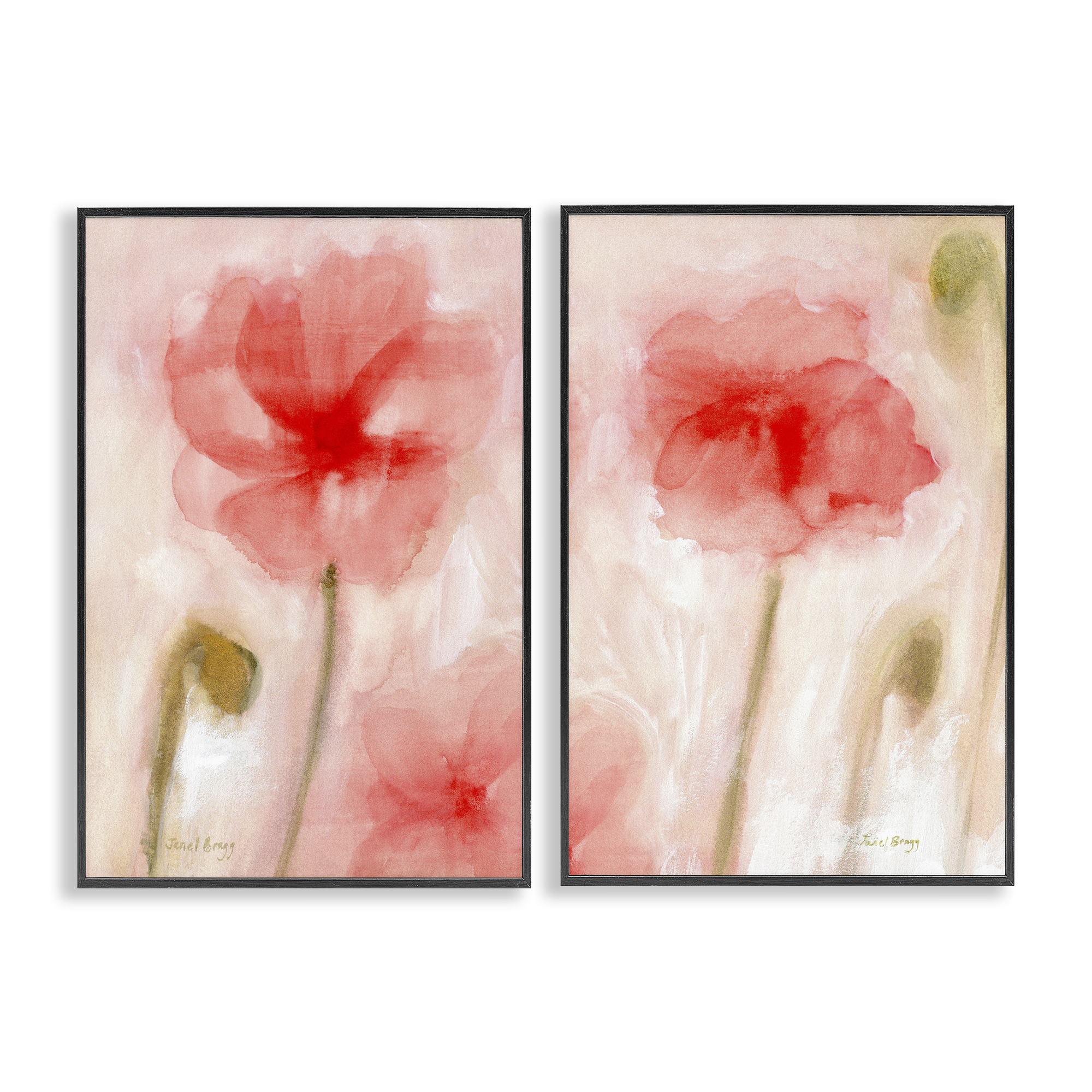 Stupell Industries Beautiful Coral Poppy Blossom Plants & Flowers Painting Black Framed Art Print Wall Art, 20 x 30, Set of 2