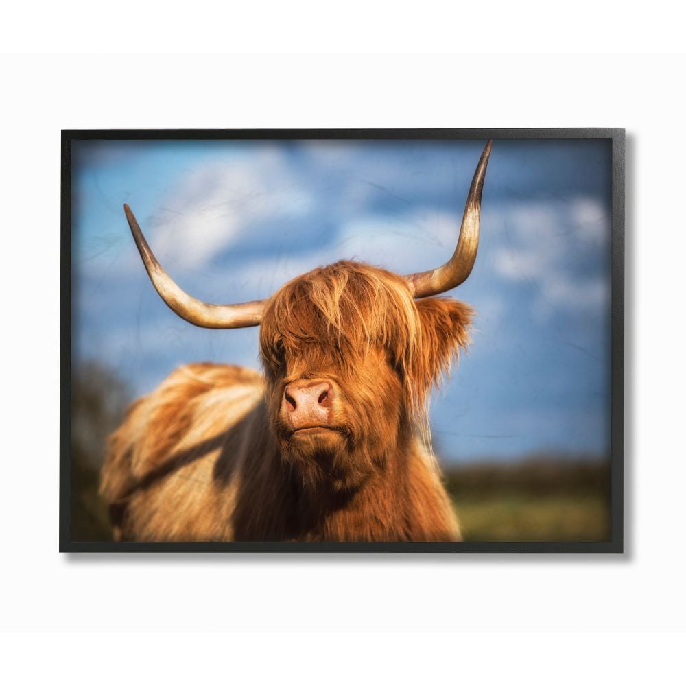 Stupell Industries Beautiful Cow in Pasture Animal Landscape Photo Framed Giclee Texturized Art by Villager Jim
