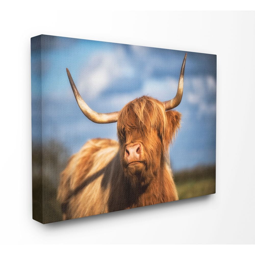 Stupell Industries Beautiful Cow in Pasture Animal Landscape Photo Super Canvas Wall Art by Villager Jim
