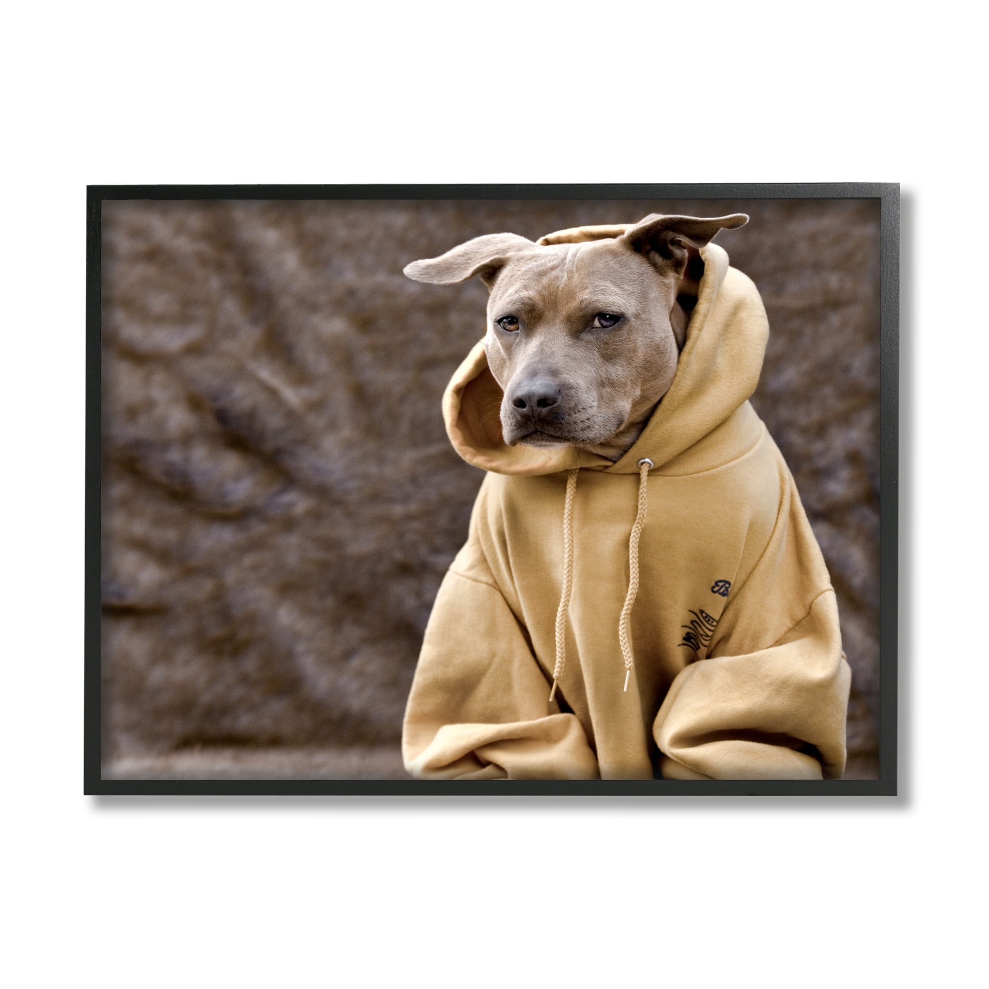 Stupell Industries Beautiful Dog Wearing Cozy Yellow Hoodie Photography Photograph Black Framed Art Print Wall Art, Design by Michael Brian