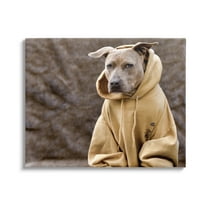 Stupell Industries Beautiful Dog Wearing Cozy Yellow Hoodie Photography Photograph Gallery Wrapped Canvas Print Wall Art, Design by Michael Brian