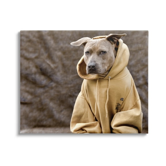 Stupell Industries Beautiful Dog Wearing Cozy Yellow Hoodie Photography Photograph Gallery Wrapped Canvas Print Wall Art, Design by Michael Brian