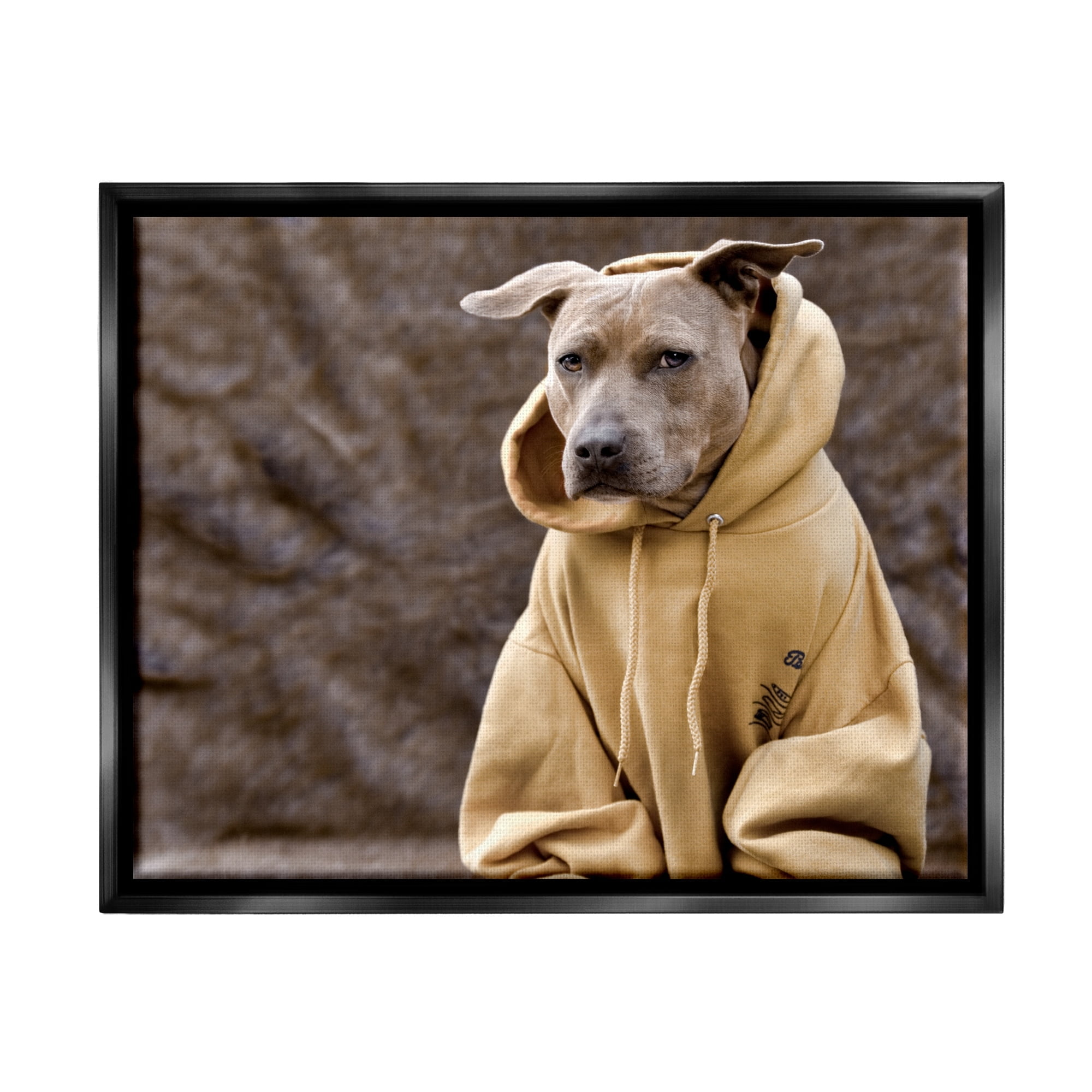 Stupell Industries Beautiful Dog Wearing Cozy Yellow Hoodie Photography Photograph Jet Black Floating Framed Canvas Print Wall Art, Design by Michael Brian