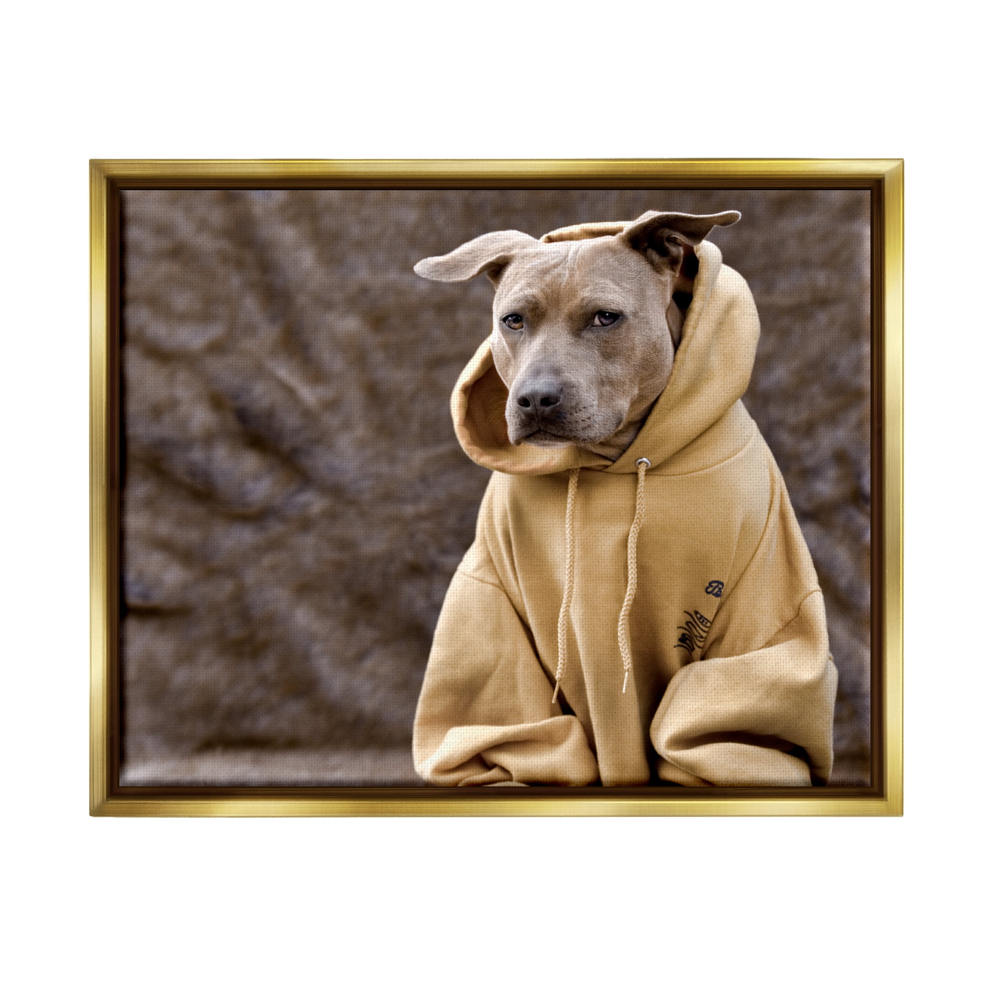 Stupell Industries Beautiful Dog Wearing Cozy Yellow Hoodie Photography Photograph Metallic Gold Floating Framed Canvas Print Wall Art, Design by Michael Brian