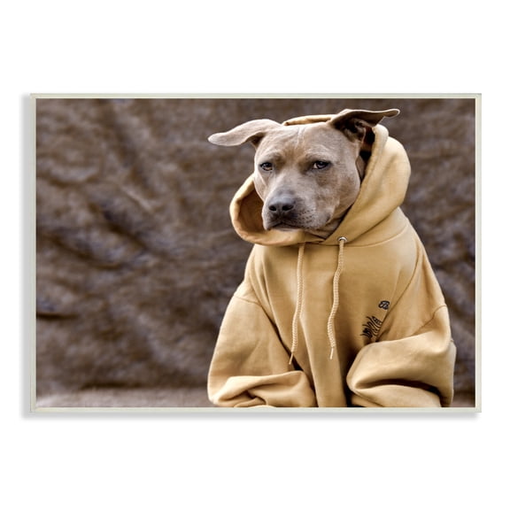 Stupell Industries Beautiful Dog Wearing Cozy Yellow Hoodie Photography Photograph Unframed Art Print Wall Art, Design by Michael Brian
