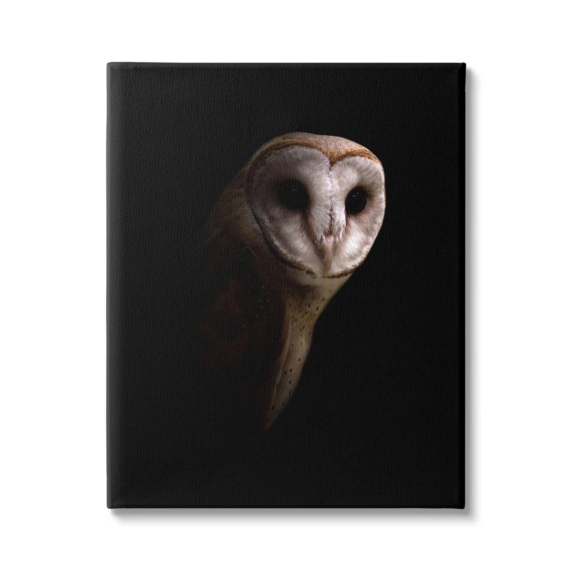 Stupell Industries Beautiful Intense Barn Owl Black Shadow Photography Portrait Gallery-Wrapped Canvas Print Wall Art, 16x20, by Incado