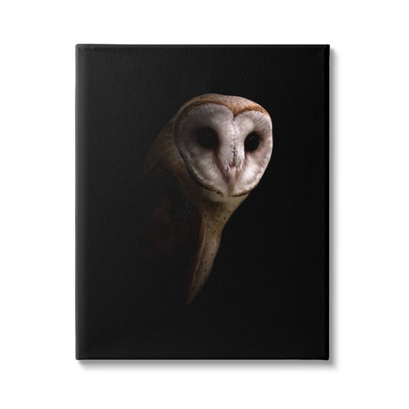 Stupell Industries Beautiful Intense Barn Owl Black Shadow Photography Portrait Gallery-Wrapped Canvas Print Wall Art, 16x20, by Incado