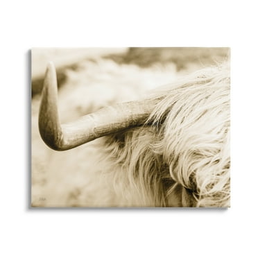 Stupell Industries Beautiful Longhorn Highland Cattle Horn Sepia Photography Photograph Gallery Wrapped Canvas Print Wall Art, Design by Donnie Quillen