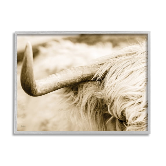 Stupell Industries Beautiful Longhorn Highland Cattle Horn Sepia Photography Photograph Gray Framed Art Print Wall Art, Design by Donnie Quillen