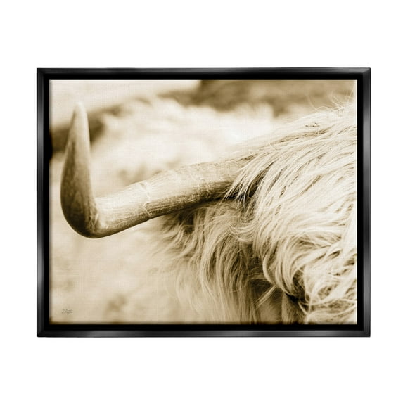 Stupell Industries Beautiful Longhorn Highland Cattle Horn Sepia Photography Photograph Jet Black Floating Framed Canvas Print Wall Art, Design by Donnie Quillen