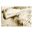 thumbnail image 1 of Stupell Industries Beautiful Longhorn Highland Cattle Horn Sepia Photography Photograph Unframed Art Print Wall Art, Design by Donnie Quillen, 1 of 5