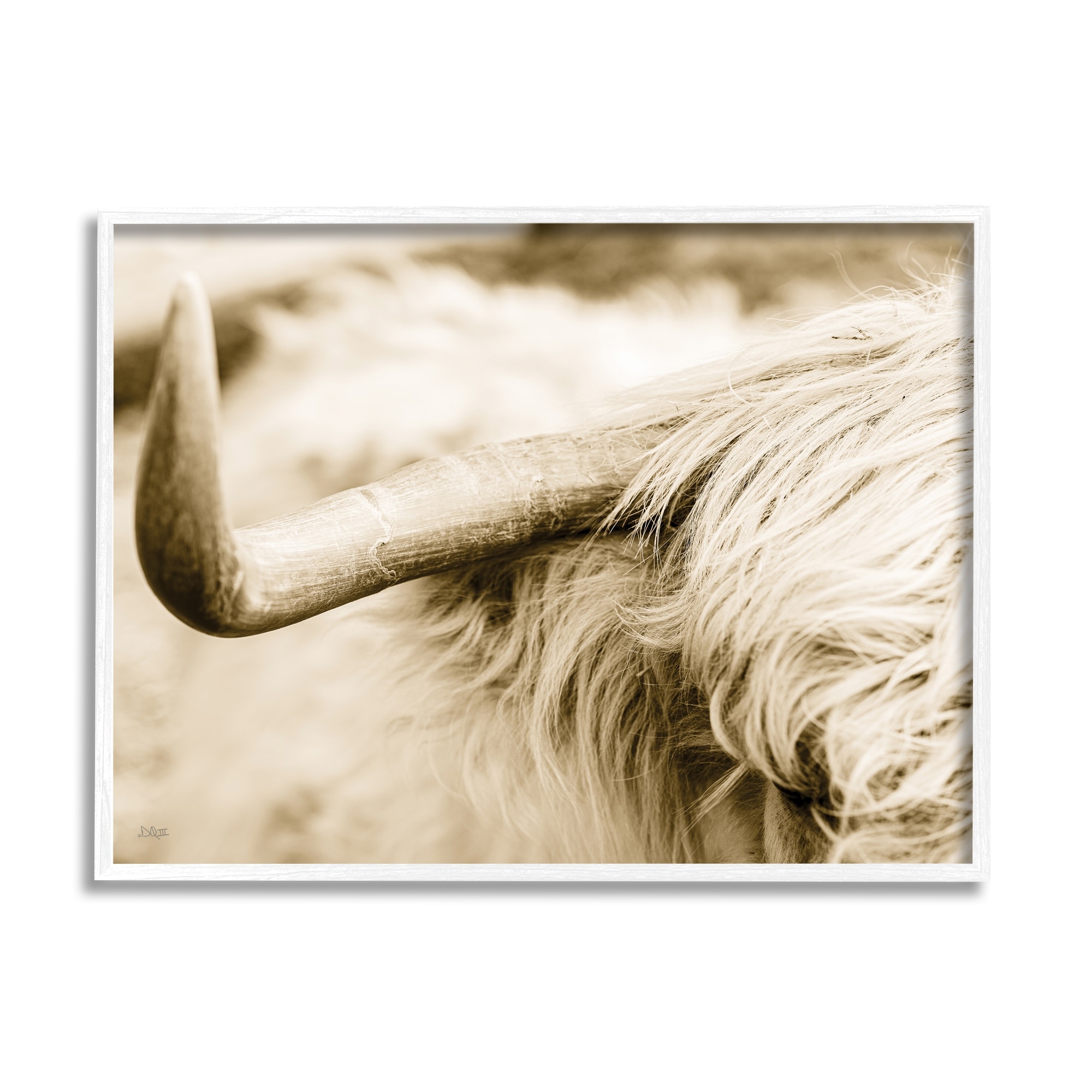 Stupell Industries Beautiful Longhorn Highland Cattle Horn Sepia Photography Photograph White Framed Art Print Wall Art, Design by Donnie Quillen