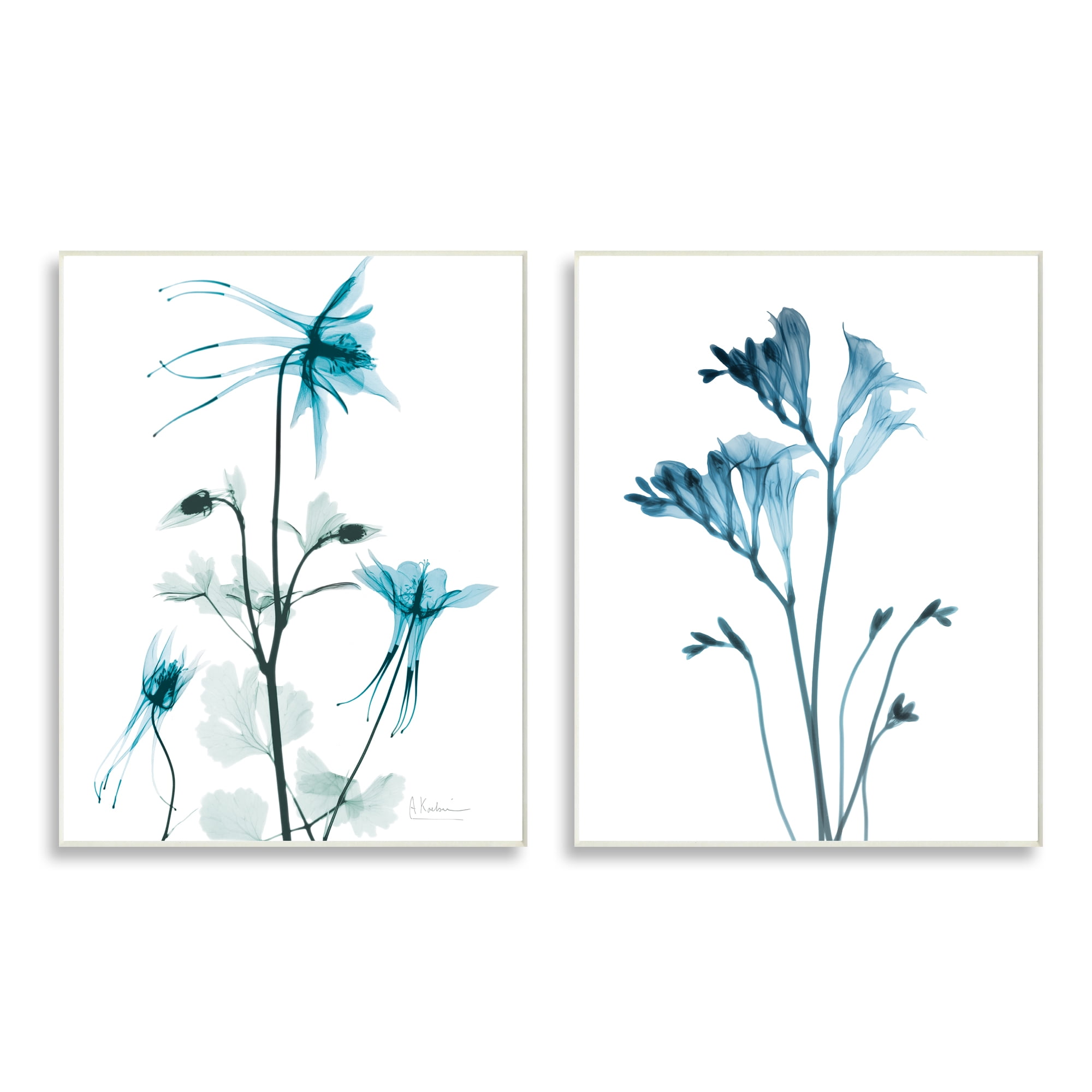Stupell Industries Beautiful Minimalist Blue Flower Plant Stem Photograph, 13 x 19, Design by Albert Koetsier