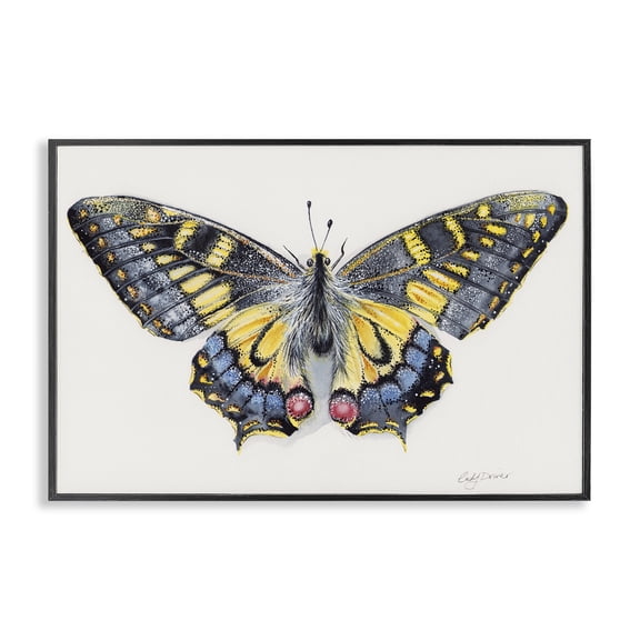 Beautiful Symmetrical Moth Wings Black Framed Giclee Art, 18 x 12, Made In USA