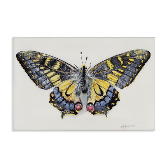 Beautiful Symmetrical Moth Wings Canvas Art, 24 x 16, Made In USA