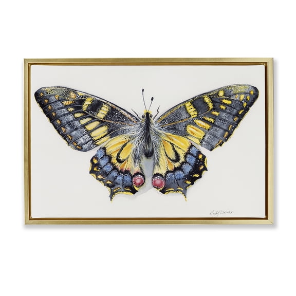 Beautiful Symmetrical Moth Wings Gold Floating Frame Canvas Art, 25 x 17, Made In USA