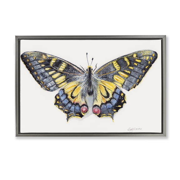 Beautiful Symmetrical Moth Wings Gray Floating Frame Canvas Art, 25 x 17, Made In USA