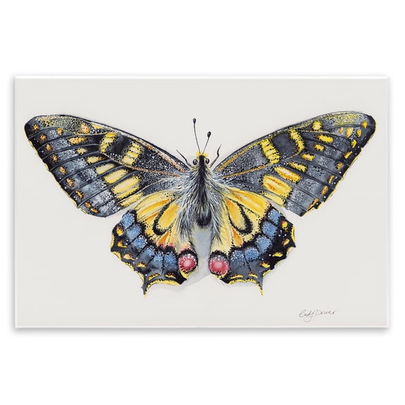 Beautiful Symmetrical Moth Wings Wall Plaque Art, 19 x 13, Made In USA