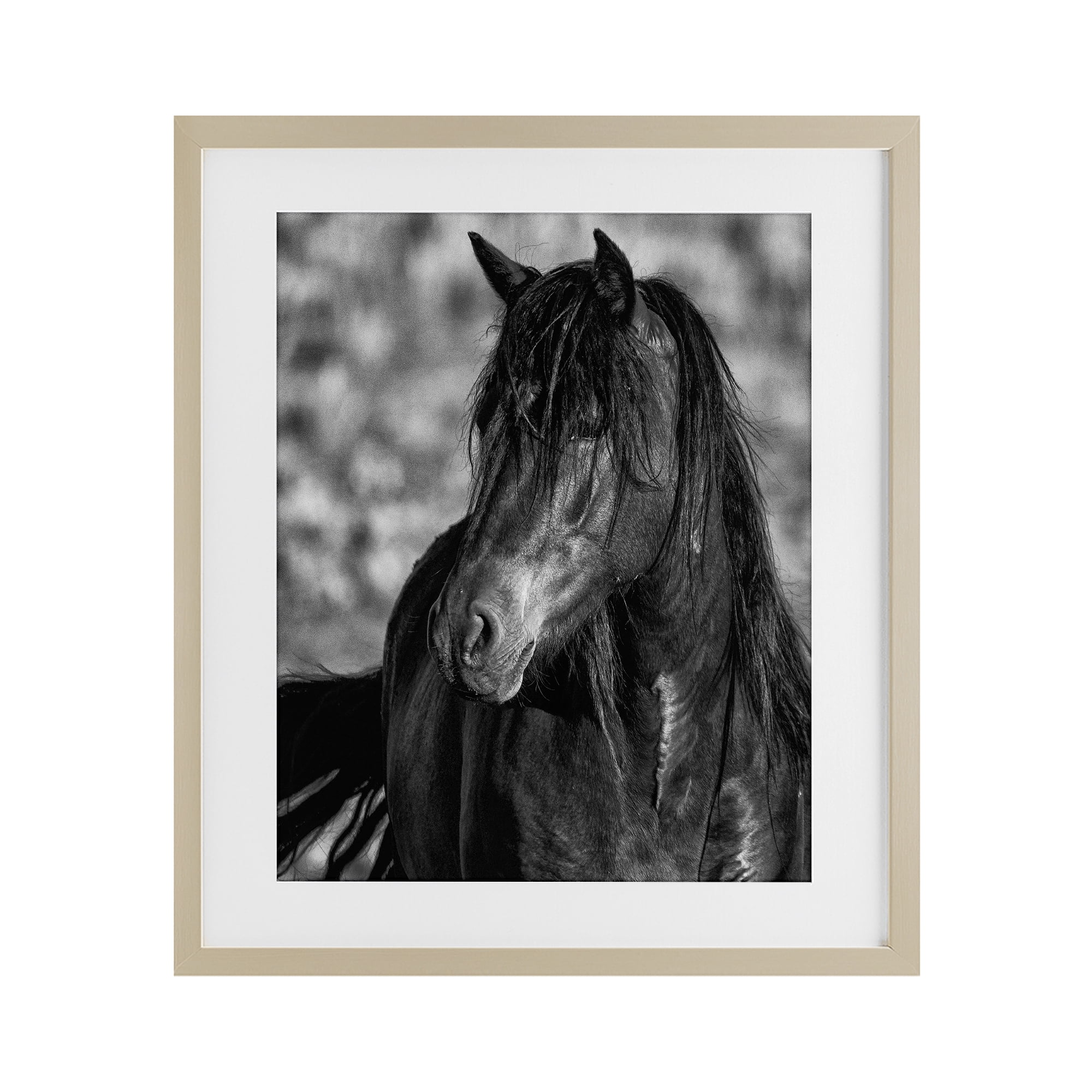 Stupell Industries Beauty In Black Birch Framed Print Under Glass, design by Tim West