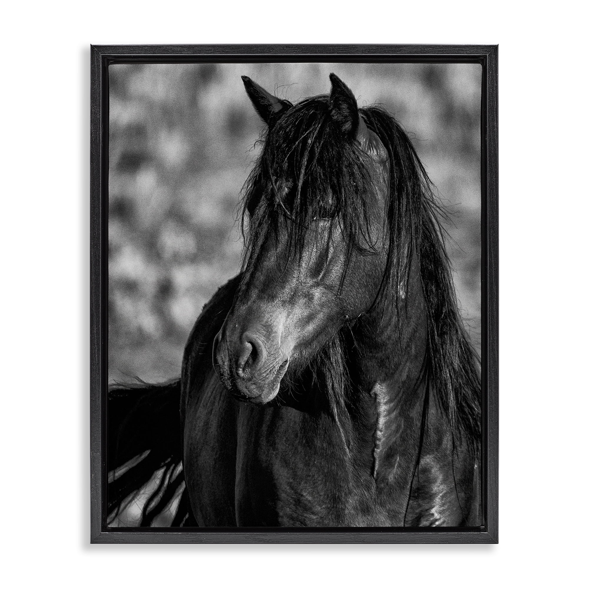 Stupell Industries Beauty In Black Black Framed Floater Canvas Wall Art, design by Tim West