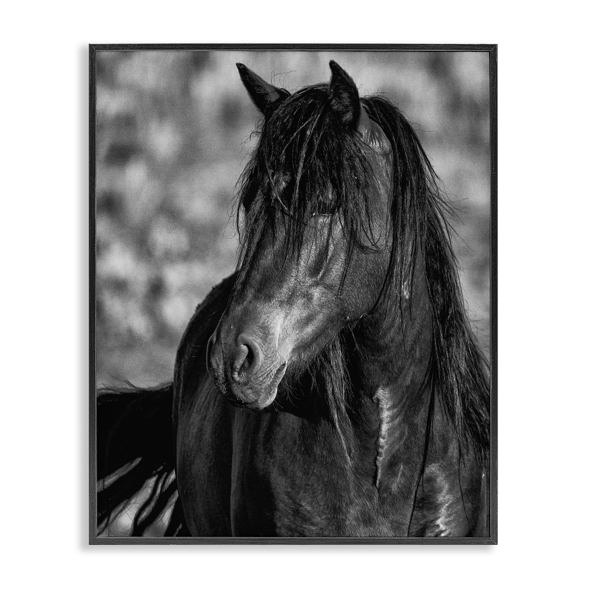 Stupell Industries Beauty In Black Black Framed Giclee Art, design by Tim West