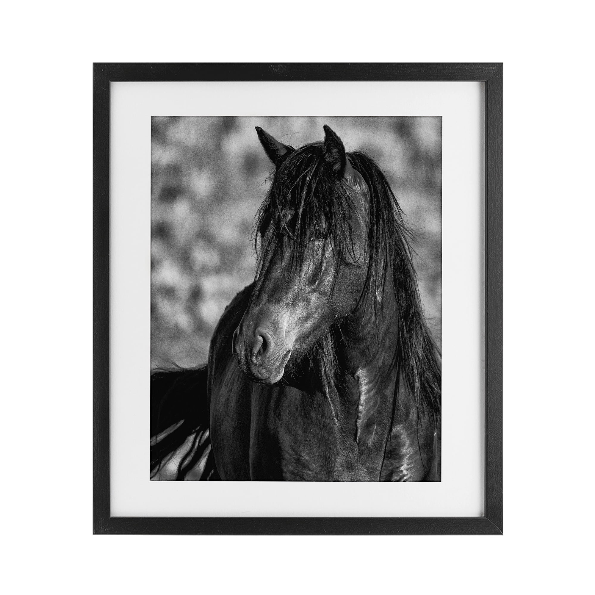 Stupell Industries Beauty In Black Black Framed Print Under Glass, design by Tim West