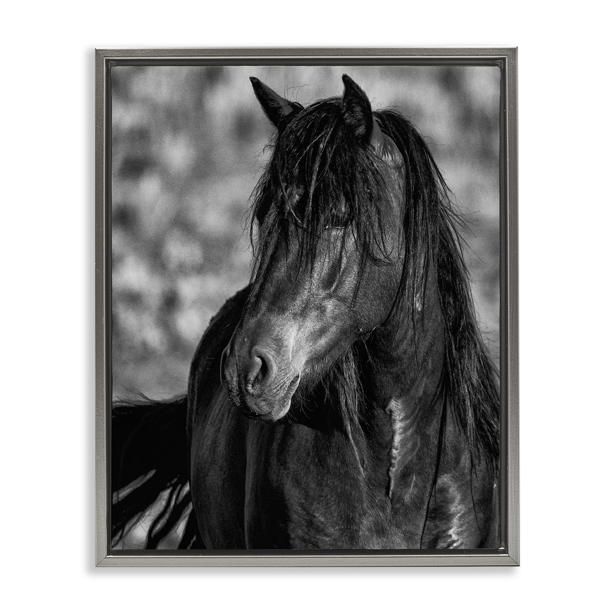 Stupell Industries Beauty In Black Gray Framed Floater Canvas Wall Art, design by Tim West