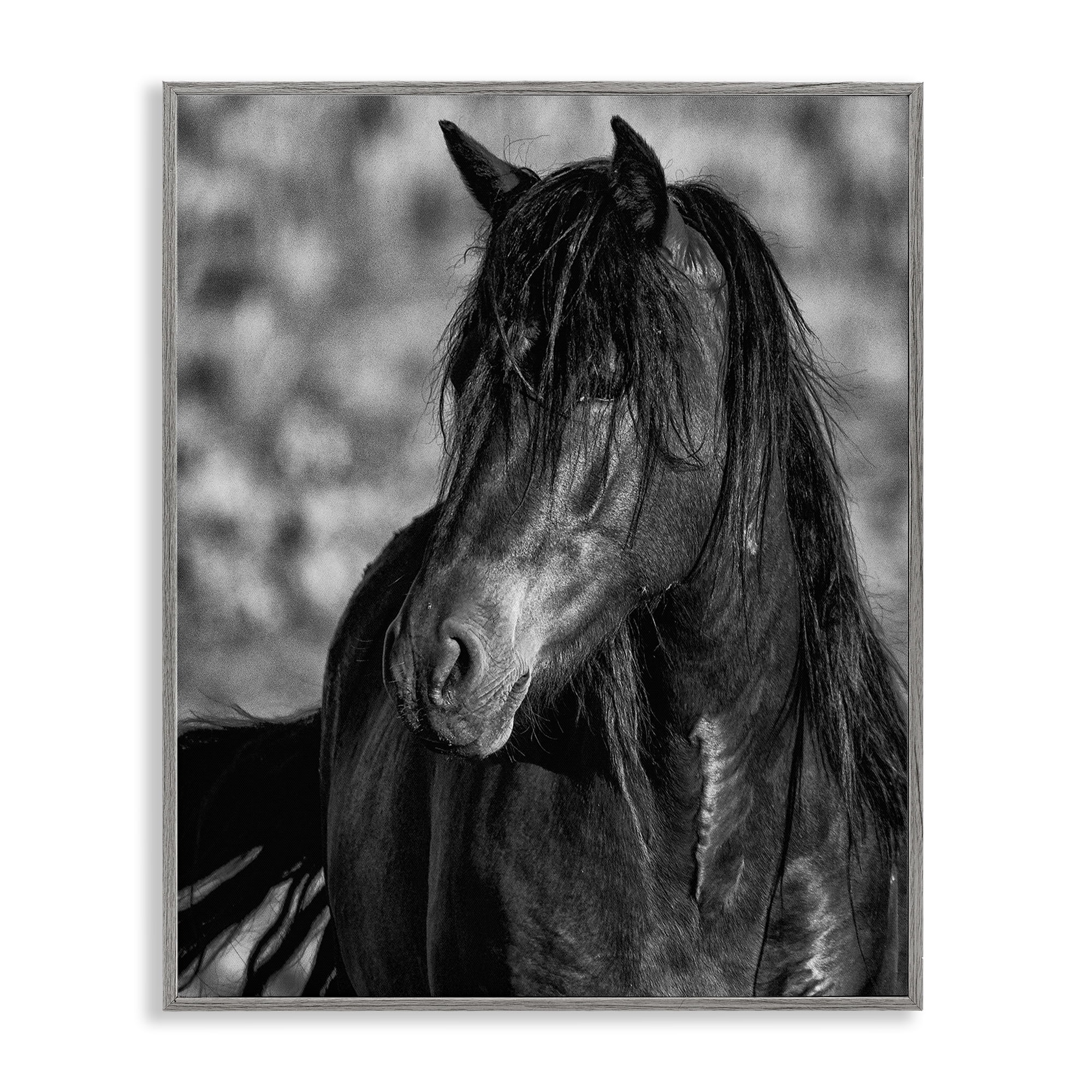 Stupell Industries Beauty In Black Gray Framed Giclee Art, design by Tim West