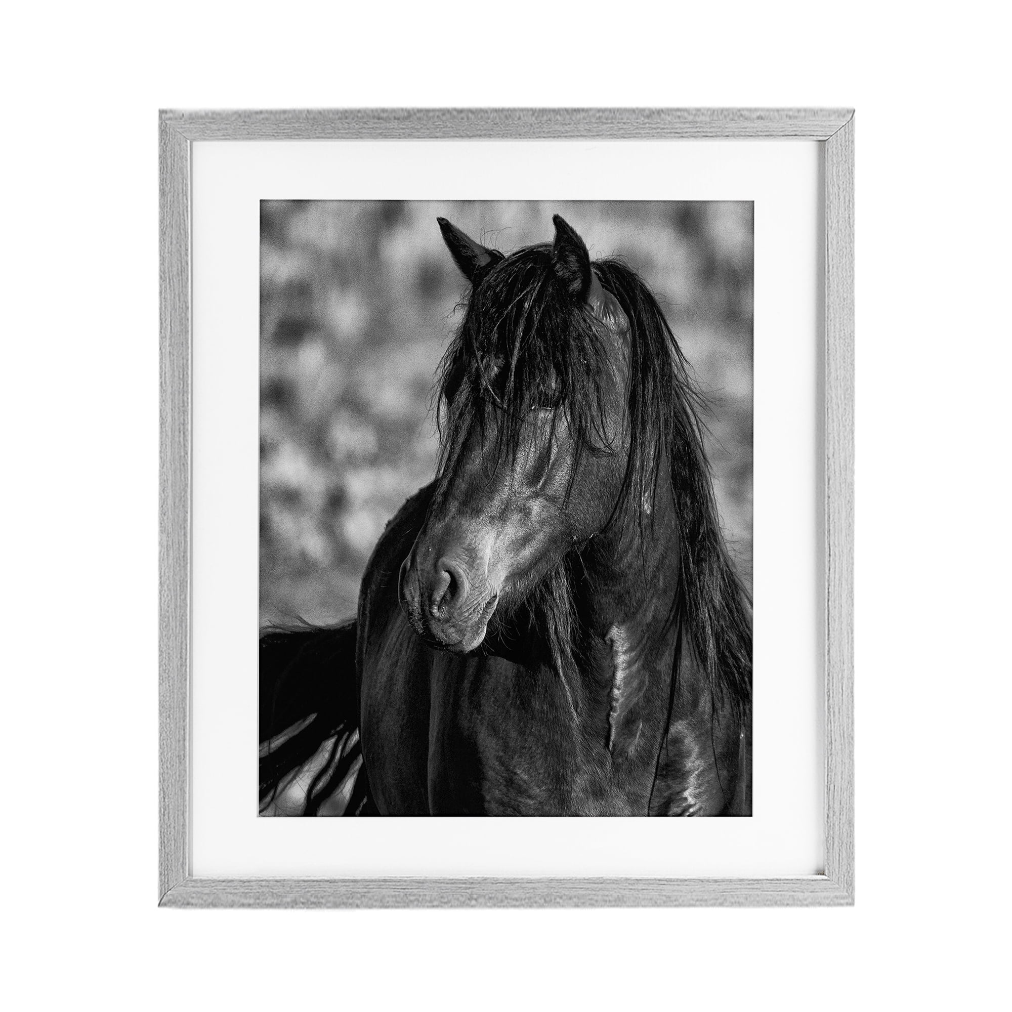 Stupell Industries Beauty In Black Gray Framed Print Under Glass, design by Tim West