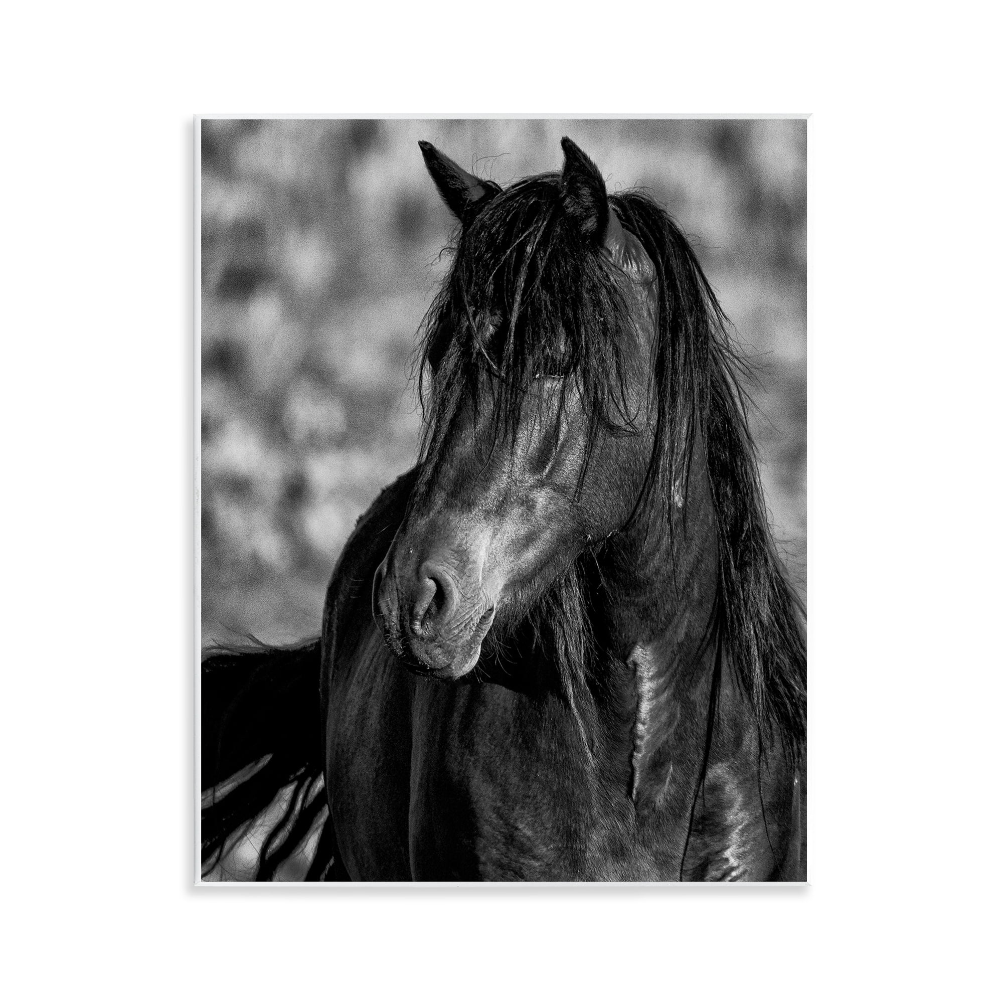 Stupell Industries Beauty In Black Wall Plaque Art, design by Tim West