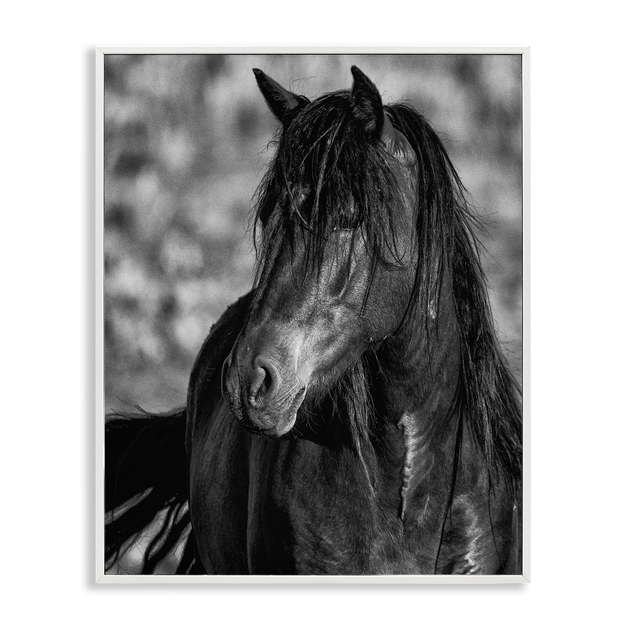 Stupell Industries Beauty In Black White Framed Giclee Art, design by Tim West