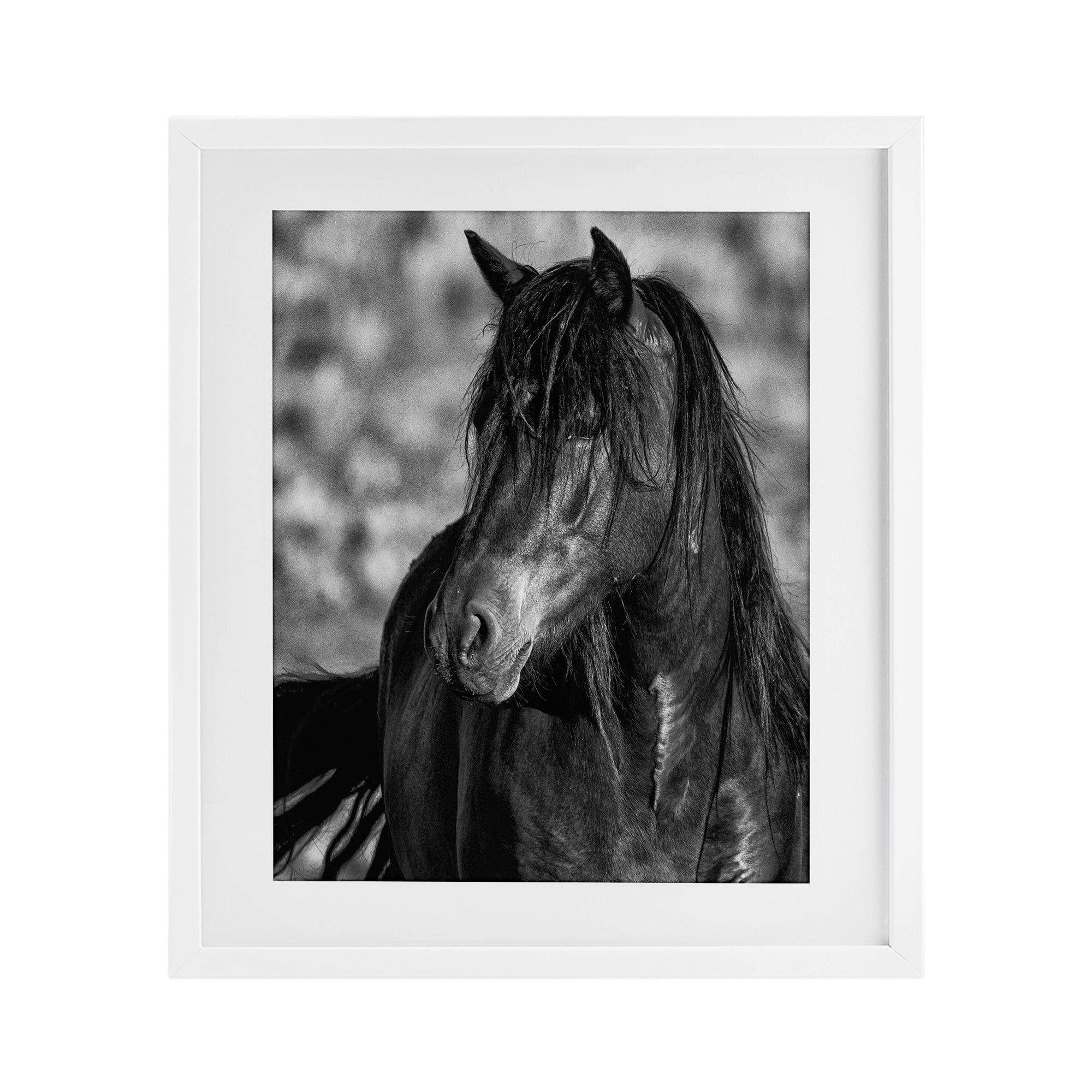 Stupell Industries Beauty In Black White Framed Print Under Glass, design by Tim West