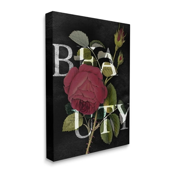Stupell Industries Beauty Text over Vintage Red Thorned Rose Canvas Wall Art, 16 x 20, Design by Daphne Polselli